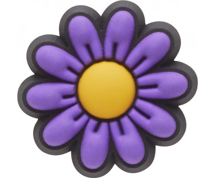 Purple Daisy