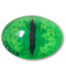Green Animal Eye