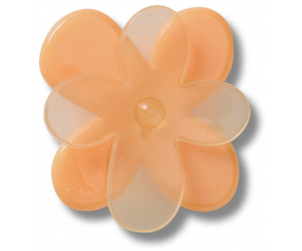 Blooming Orange Flower 