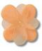Blooming Orange Flower 