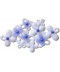 Blooming Blue Florals 