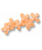 Blooming Orange Florals 