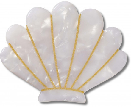 White and Gold Seashell