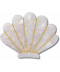 White and Gold Seashell
