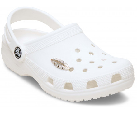 Silver and Gold Feather