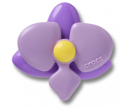 Purple Orchid