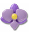 Purple Orchid