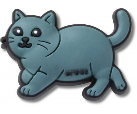 British Shorthair Cat 