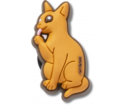 Abyssinian Cat 