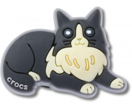 Black Cat With Boots 