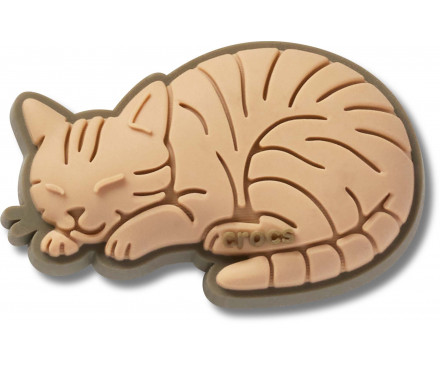 Tabby Cat 