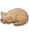 Tabby Cat 