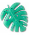 Mega Gem Monstera
