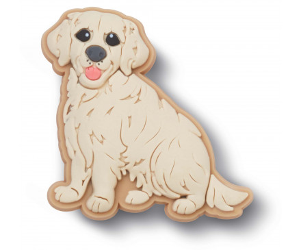 Golden Retriever Puppy