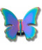 Iridescent Butterfly