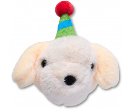 Record Your Own Sound