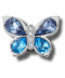 Blue Gem Butterfly  