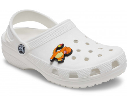 Pokemon Charmander