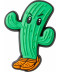 Cactus in Crocs