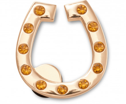 Gold Studded Horseshoe