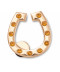 Gold Studded Horseshoe