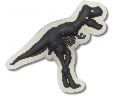 Glow In The Dark Dino  