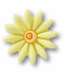 Puffy Yellow Daisy
