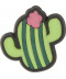 Small Cactus