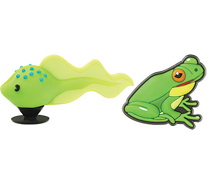 Tadpole & Frog 3D 2-pack