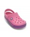 Kids' Crocband™ II.5 Clog